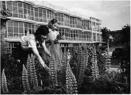 Image shows girls tending to plants outside the Pioneer Health Foundation