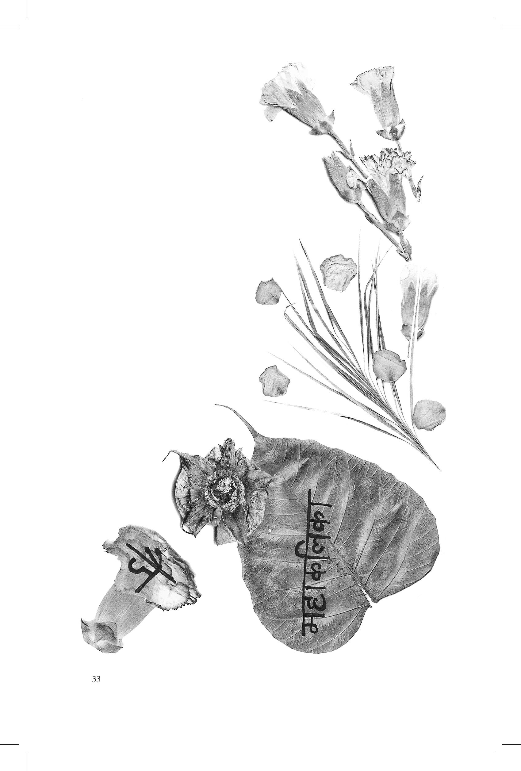 Ritual Poetry: Nisha Ramayya